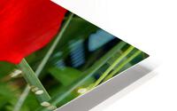 Red HD Metal print