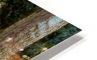 Bench in Fall HD Metal print