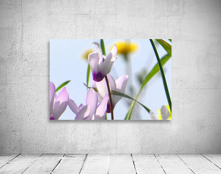 Pink bloom Wall Preview