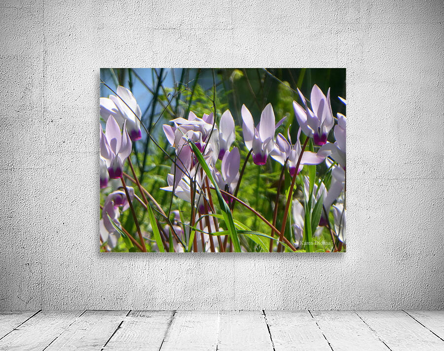 Spring in the woods Wall Preview