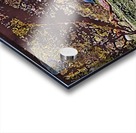 Beautiful Nature Object 7 Acrylic print