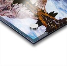 Nature Definition 7 Acrylic print