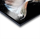 Betta Fish Lover 23 Acrylic print