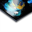 Betta Fish Lover 7 Acrylic print