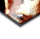 Freddie Mercury Face Acrylic print