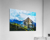 Nature Drawing 5 Acrylic Print