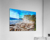 Nature Drawing 4 Acrylic Print