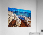 Nature 7 Acrylic Print