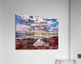 Nature 6 Acrylic Print