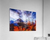 Nature Documentary 6 Acrylic Print