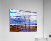 Nature Documentary 4 Acrylic Print
