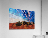 Nature Documentary 1 Acrylic Print