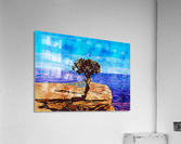 Nature illustration 9 Acrylic Print