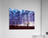 Nature Lover 8 Acrylic Print
