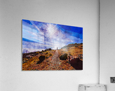 Nature Lover 6 Acrylic Print