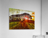 Nature Lover 5 Acrylic Print