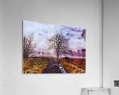 Nature Lover 3 Acrylic Print