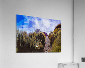 Nature Lover 2 Acrylic Print