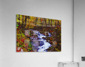 Nature Lover Acrylic Print