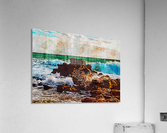 Nature View 13 Acrylic Print