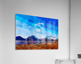 Nature View  Acrylic Print