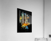 Betta Fish Lover 25 Acrylic Print