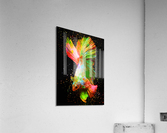 Betta Fish Lover 19 Acrylic Print
