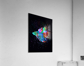 Betta Fish Lover 18 Acrylic Print