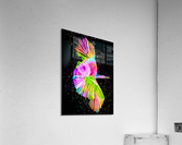 Betta Fish Lover 16 Acrylic Print