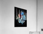 Betta Fish Lover 15 Acrylic Print