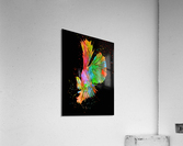 Betta Fish Lover 14 Acrylic Print