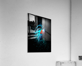 Betta Fish Lover 13 Acrylic Print