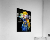 Betta Fish Lover 5 Acrylic Print
