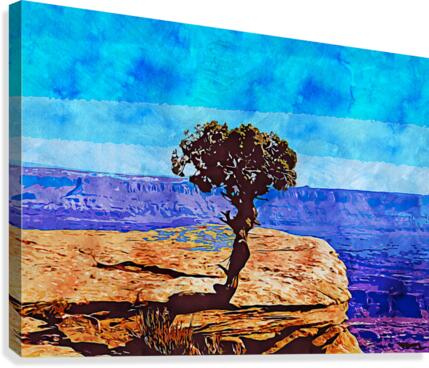 Nature illustration 9 Canvas Print