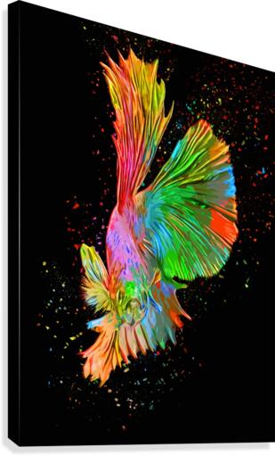 Betta Fish Lover 14 Canvas Print