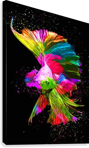 Betta Fish Lover 6 Canvas Print