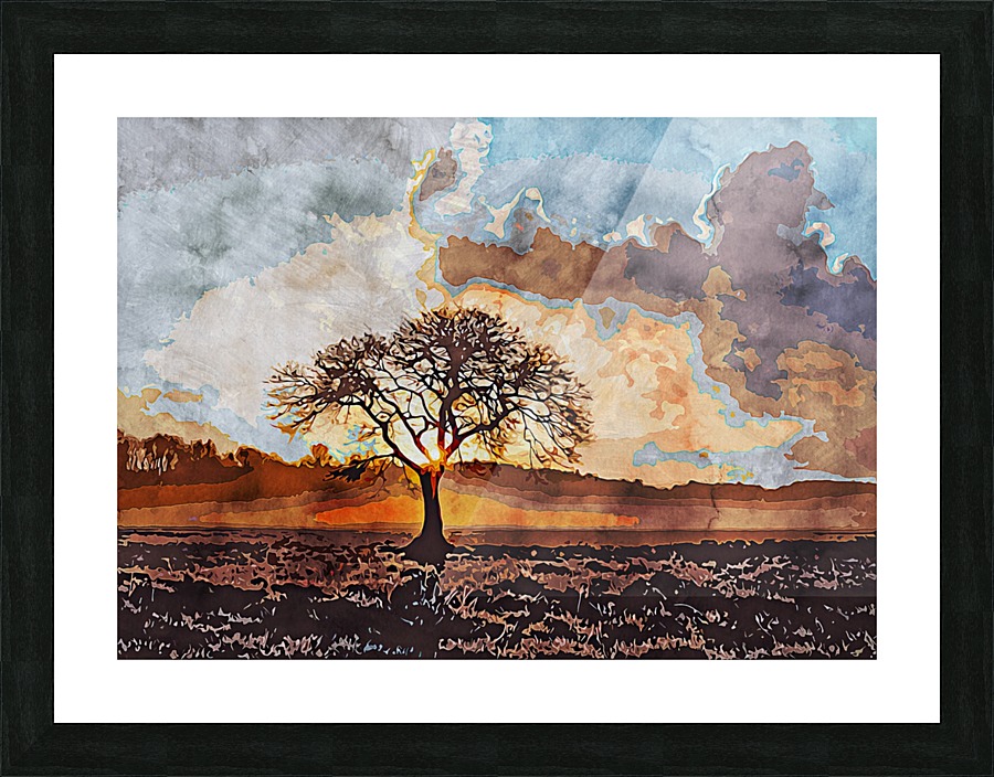 Beautiful Nature Object 9 Picture Frame print