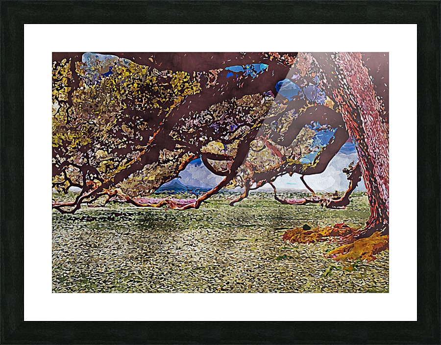 Beautiful Nature Object 7 Picture Frame print