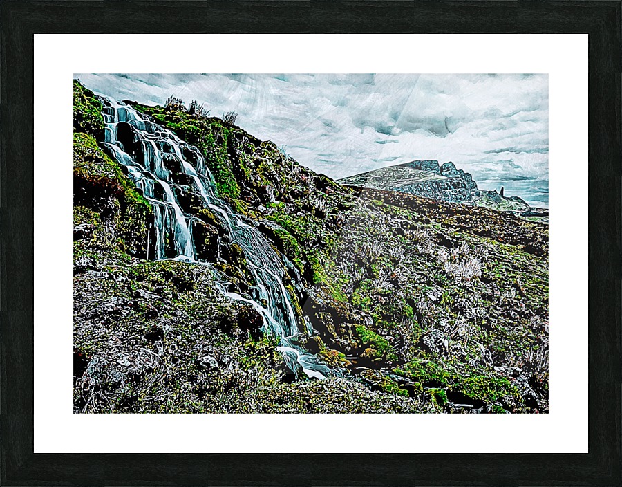 Nature Drawing 10 Picture Frame print