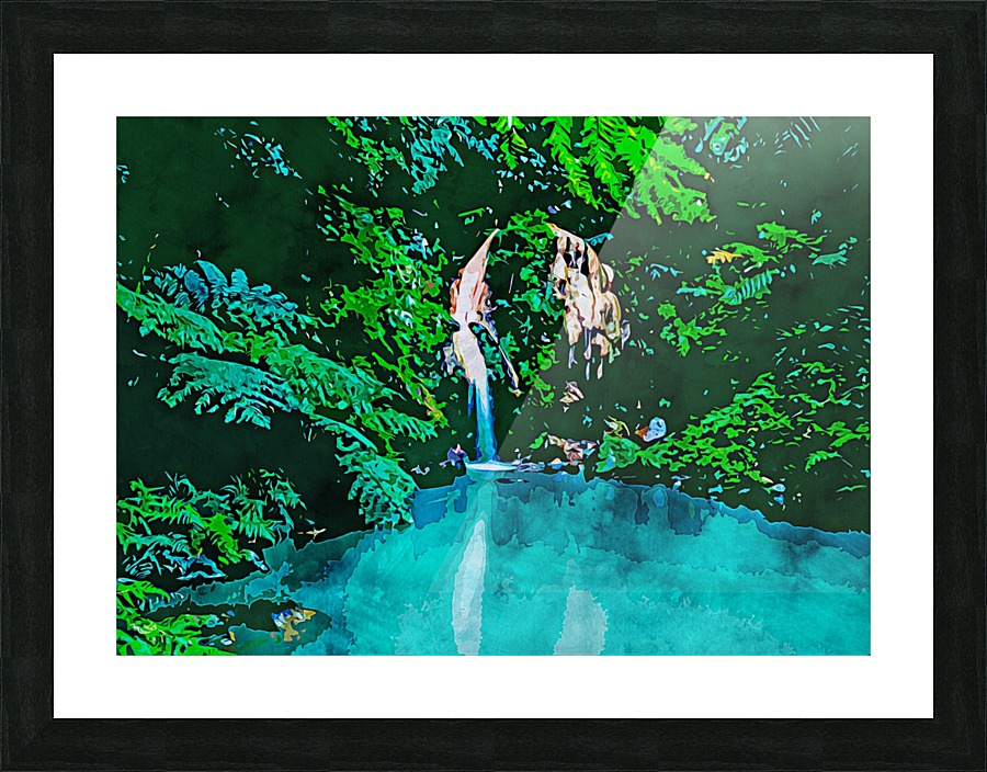Nature Drawing 6 Picture Frame print