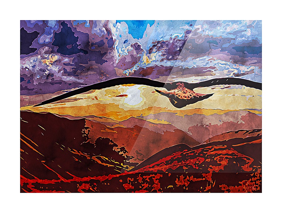 Nature 5 Picture Frame print