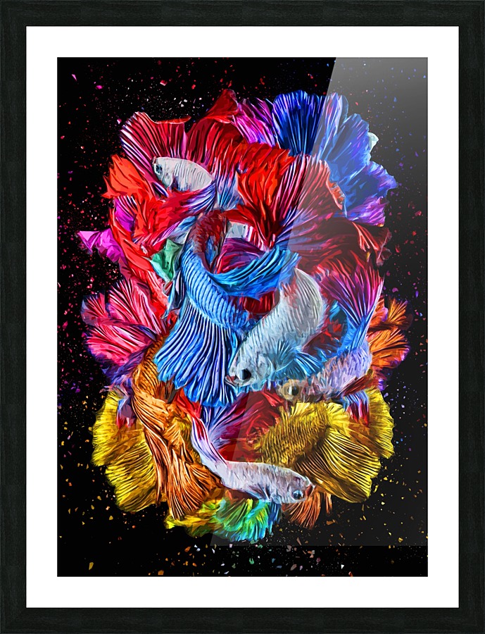 Betta Fish Lover 27 Picture Frame print