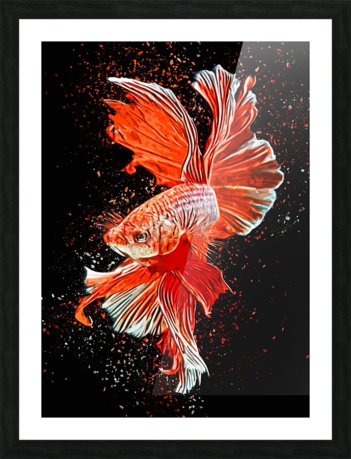 Betta Fish Lover 26 Picture Frame print