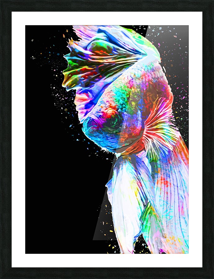 Betta Fish Lover 24 Picture Frame print