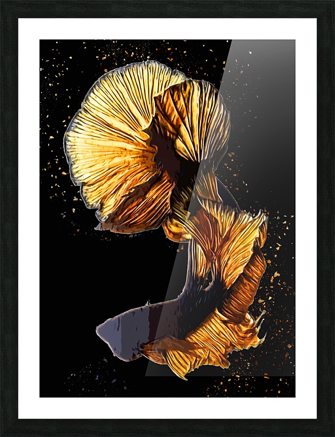 Betta Fish Lover 22 Picture Frame print