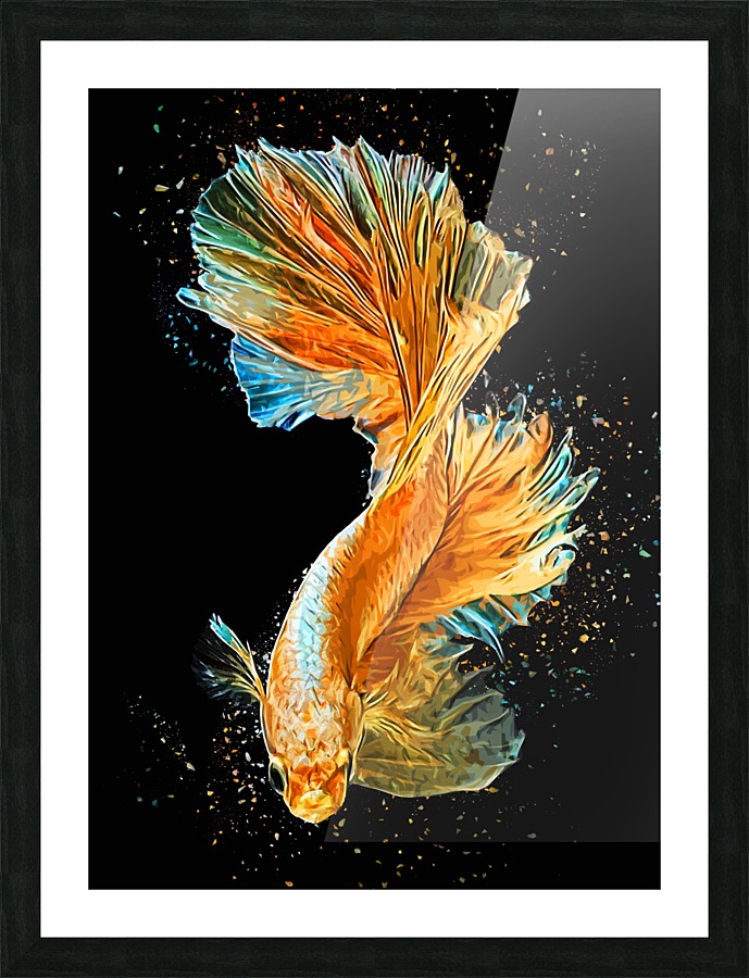 Betta Fish Lover 21 Picture Frame print