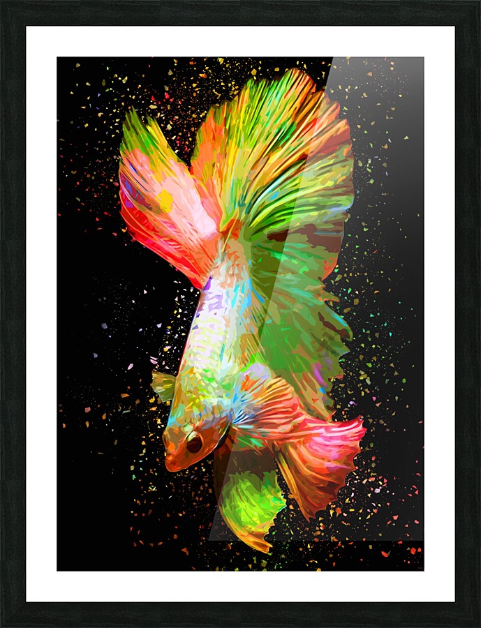 Betta Fish Lover 19 Picture Frame print