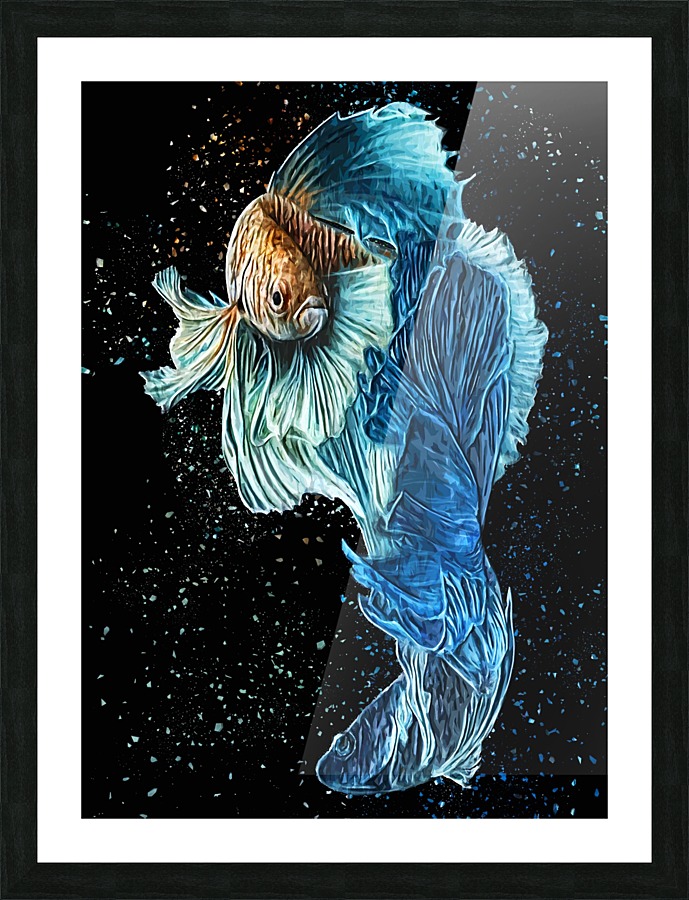 Betta Fish Lover 20 Picture Frame print