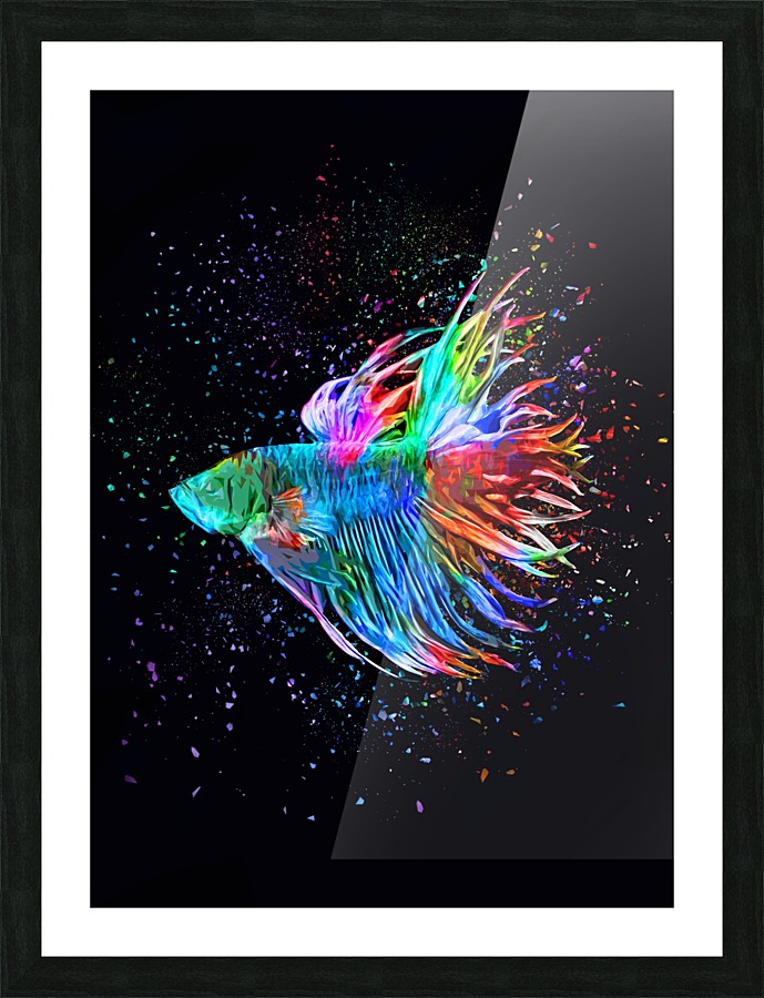 Betta Fish Lover 18 Picture Frame print