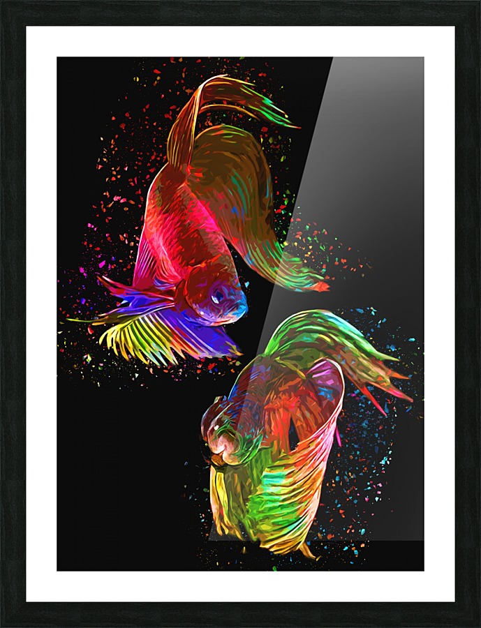 Betta Fish Lover 17 Picture Frame print